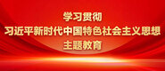 大鸡巴操逼爽片学习贯彻习近平新时代中国特色社会主义思想主题教育_fororder_ad-371X160(2)